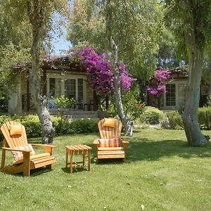 Superior Bungalov